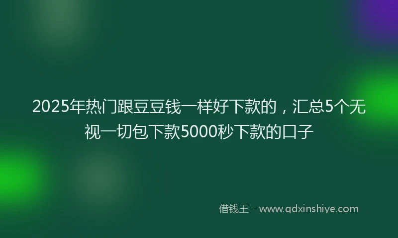 2025年热门跟豆豆钱一样好下款的,汇总5个无视一切包下款5000秒下款的口子