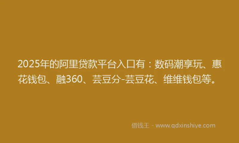 2025年的阿里贷款平台入口有：数码潮享玩、惠花钱包、融360、芸豆分-芸豆花、维维钱包等。