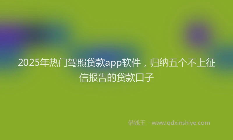 2025年热门驾照贷款app软件，归纳五个不上征信报告的贷款口子