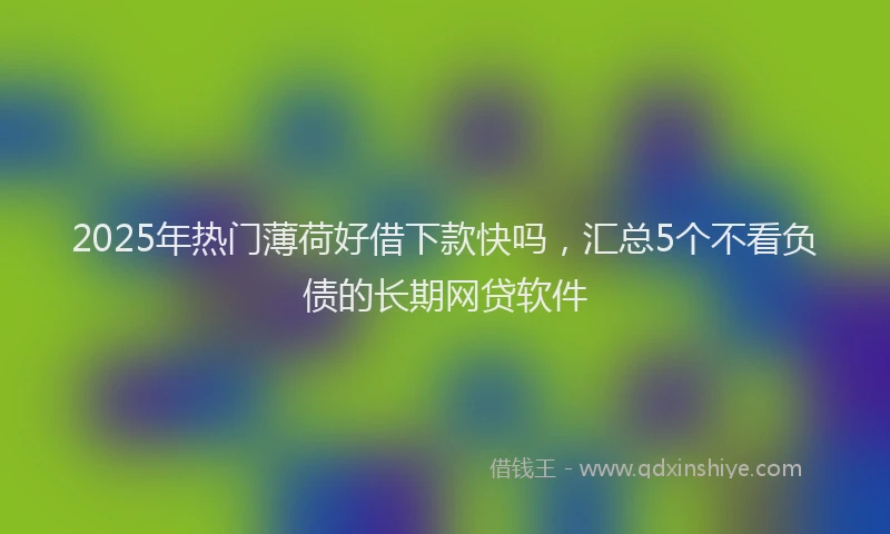 2025年热门薄荷好借下款快吗，汇总5个不看负债的长期网贷软件