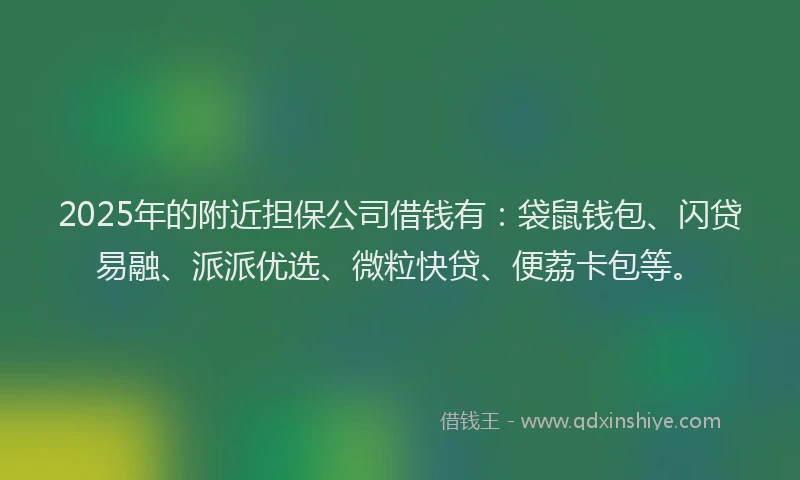 2025年的附近担保公司借钱有：袋鼠钱包、闪贷易融、派派优选、微粒快贷、便荔卡包等。