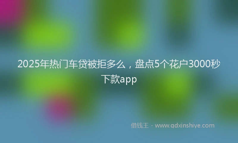 2025年热门车贷被拒多么，盘点5个花户3000秒下款app