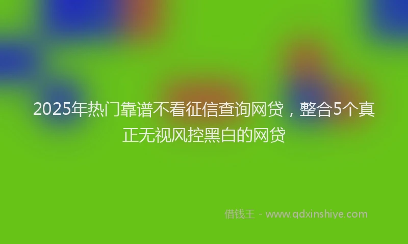 2025年热门靠谱不看征信查询网贷，整合5个真正无视风控黑白的网贷
