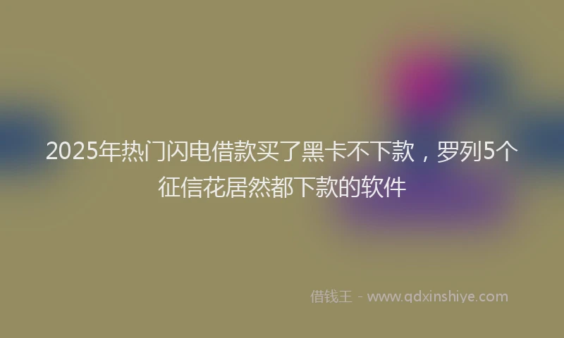2025年热门闪电借款买了黑卡不下款,罗列5个征信花居然都下款的软件