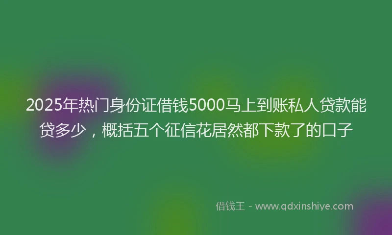2025年热门身份证借钱5000马上到账私人贷款能贷多少，概括五个征信花居然都下款了的口子