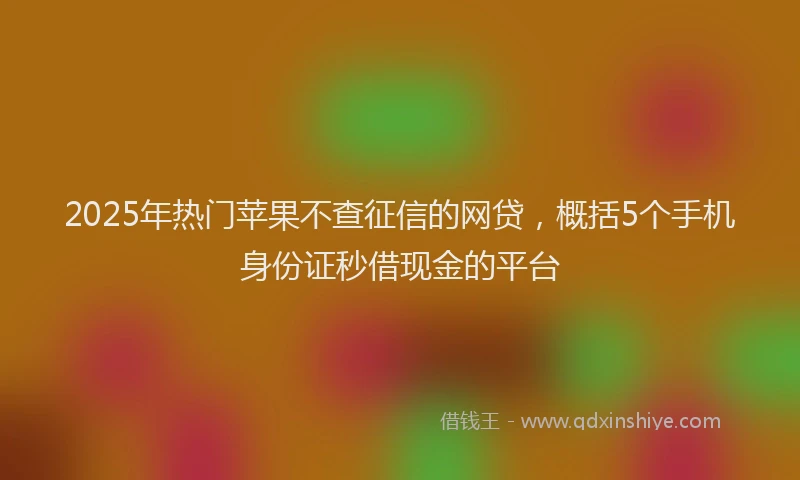 2025年热门苹果不查征信的网贷，概括5个手机身份证秒借现金的平台