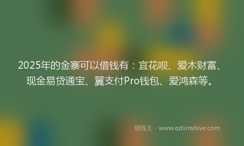 2025年的金寨可以借钱有：宜花呗、爱木财富、现金易贷通宝、翼支付Pro钱包、爱鸿森等。
