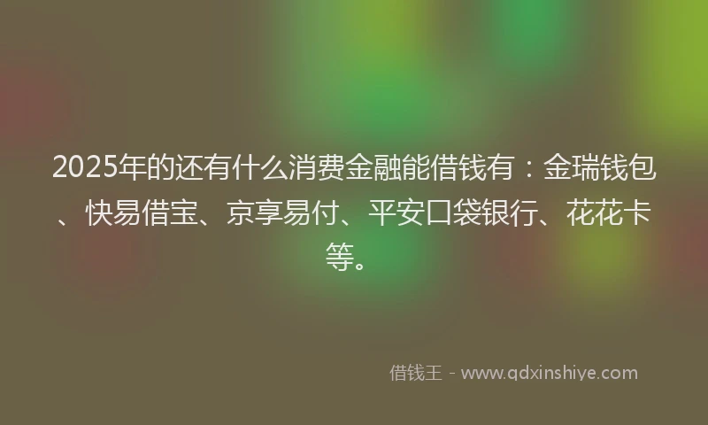 2025年的还有什么消费金融能借钱有：金瑞钱包、快易借宝、京享易付、平安口袋银行、花花卡等。