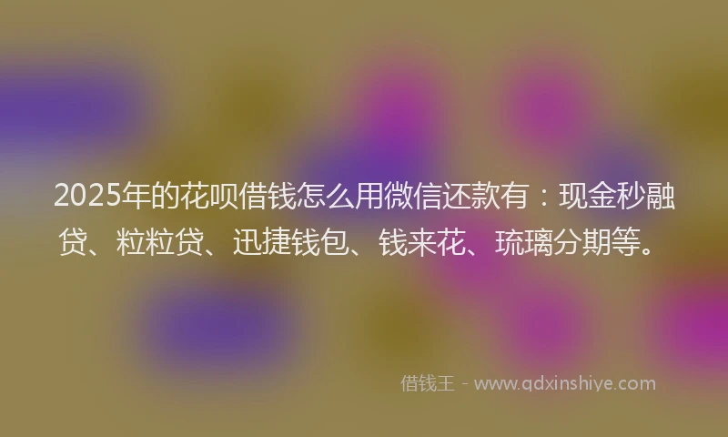 2025年的花呗借钱怎么用微信还款有：现金秒融贷、粒粒贷、迅捷钱包、钱来花、琉璃分期等。