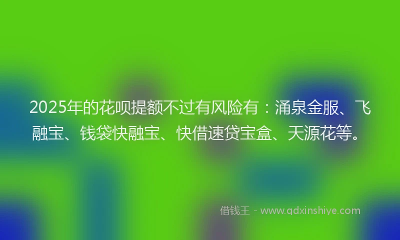 2025年的花呗提额不过有风险有：涌泉金服、飞融宝、钱袋快融宝、快借速贷宝盒、天源花等。