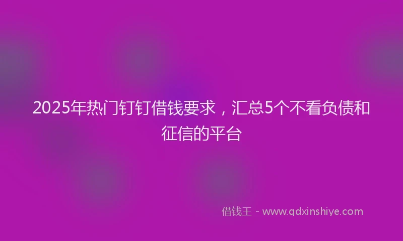 2025年热门钉钉借钱要求，汇总5个不看负债和征信的平台