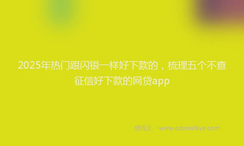 2025年热门跟闪银一样好下款的,梳理五个不查征信好下款的网贷app