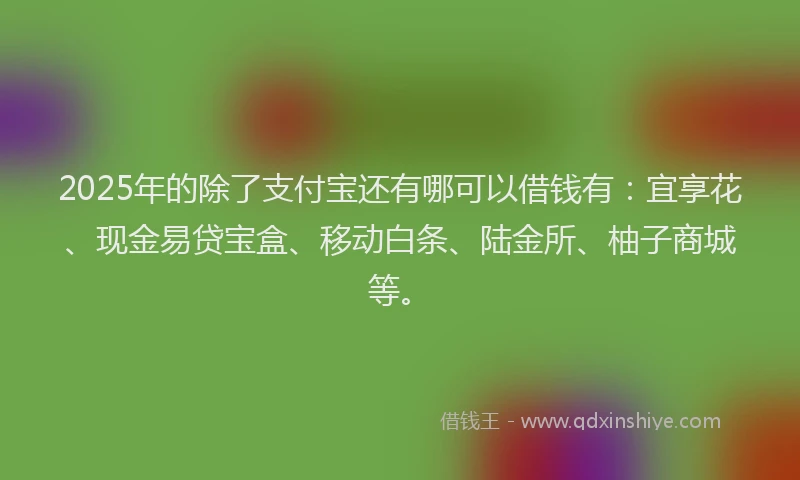 2025年的除了支付宝还有哪可以借钱有：宜享花、现金易贷宝盒、移动白条、陆金所、柚子商城等。