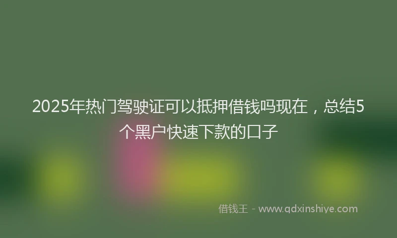 2025年热门驾驶证可以抵押借钱吗现在，总结5个黑户快速下款的口子