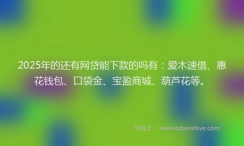 2025年的还有网贷能下款的吗有：爱木速借、惠花钱包、口袋金、宝盈商城、葫芦花等。