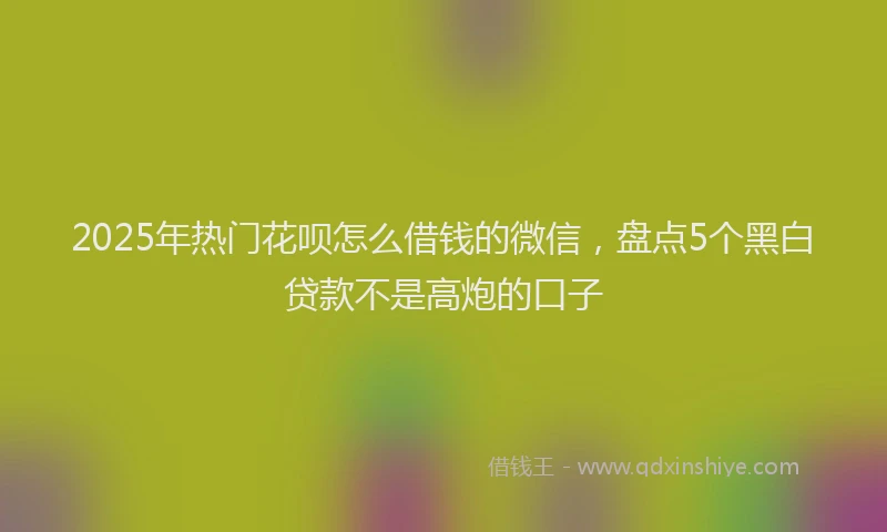 2025年热门花呗怎么借钱的微信，盘点5个黑白贷款不是高炮的口子