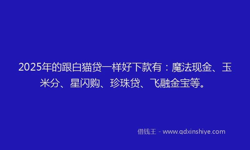 2025年的跟白猫贷一样好下款有：魔法现金、玉米分、星闪购、珍珠贷、飞融金宝等。