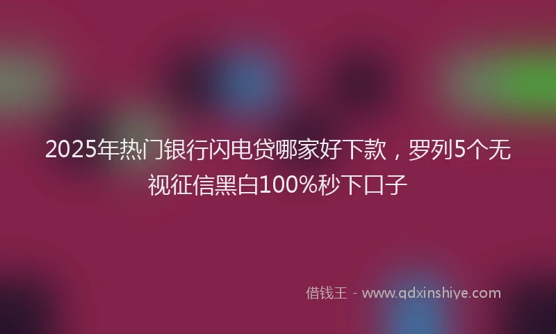 2025年热门银行闪电贷哪家好下款，罗列5个无视征信黑白100%秒下口子