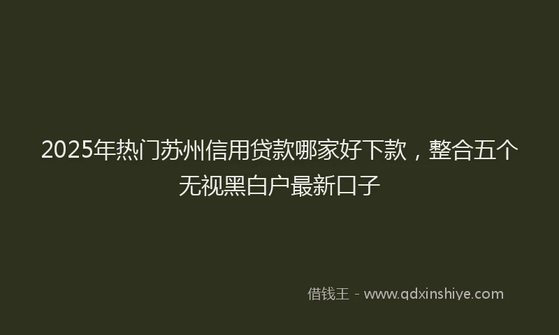 2025年热门苏州信用贷款哪家好下款，整合五个无视黑白户最新口子