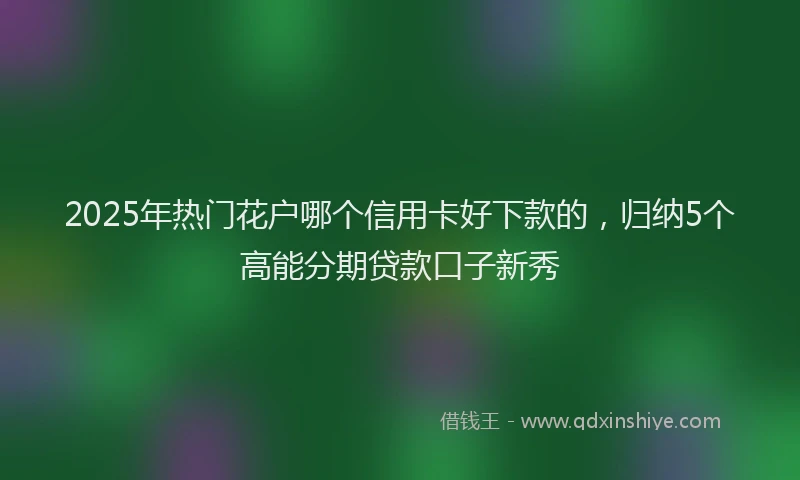 2025年热门花户哪个信用卡好下款的，归纳5个高能分期贷款口子新秀