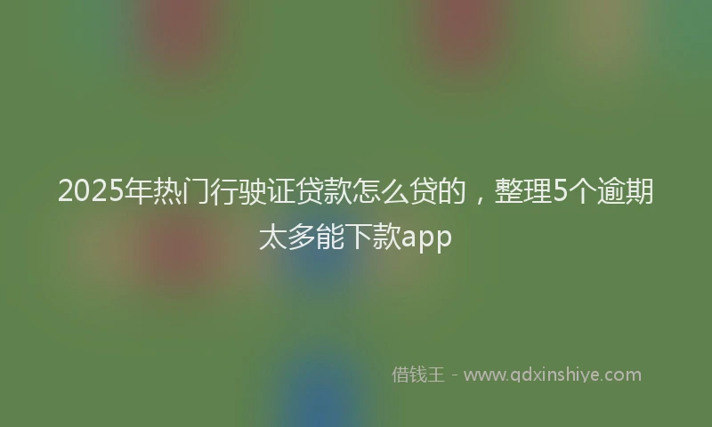 2025年热门行驶证贷款怎么贷的，整理5个逾期太多能下款app