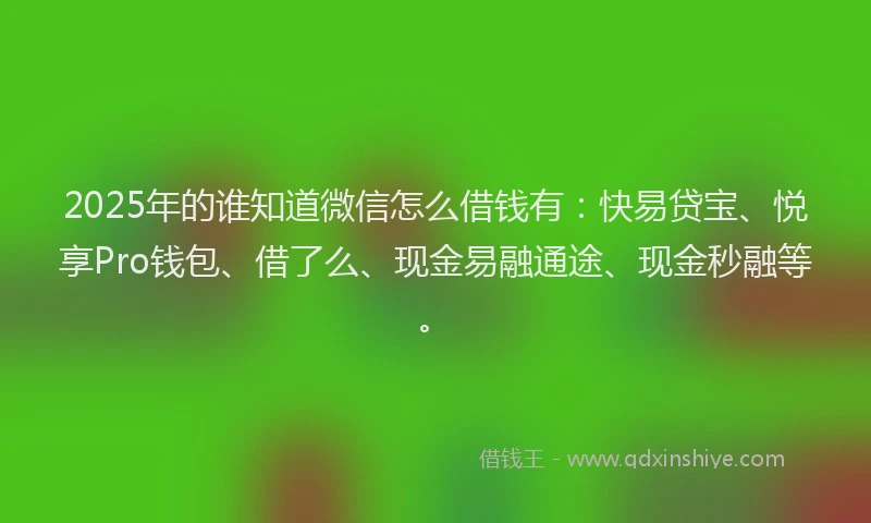 2025年的谁知道微信怎么借钱有：快易贷宝、悦享Pro钱包、借了么、现金易融通途、现金秒融等。