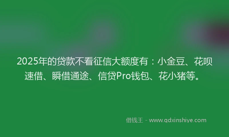 2025年的贷款不看征信大额度有:小金豆、花呗速借、瞬借通途、信贷Pro钱包、花小猪等。