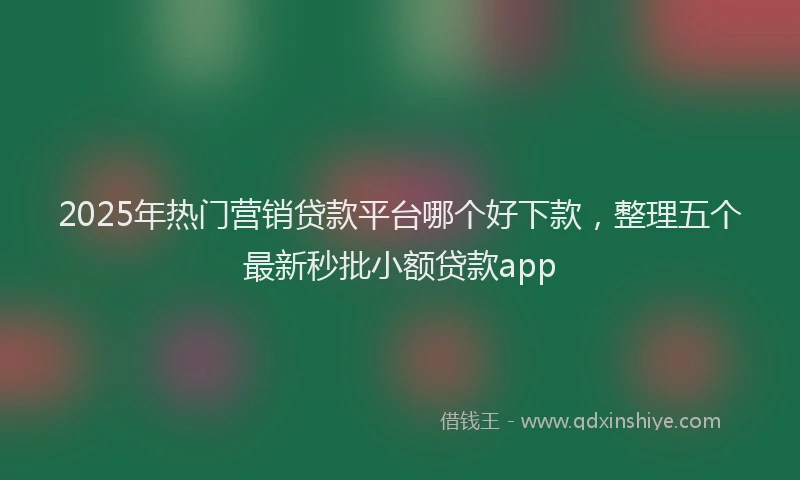 2025年热门营销贷款平台哪个好下款，整理五个最新秒批小额贷款app