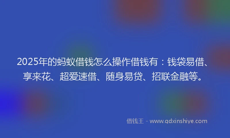 2025年的蚂蚁借钱怎么操作借钱有：钱袋易借、享来花、超爱速借、随身易贷、招联金融等。