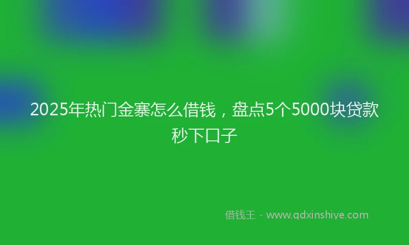 2025年热门金寨怎么借钱，盘点5个5000块贷款秒下口子