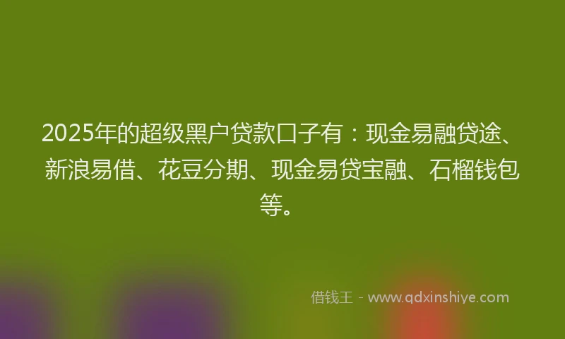 2025年的超级黑户贷款口子有:现金易融贷途、新浪易借、花豆分期、现金易贷宝融、石榴钱包等。