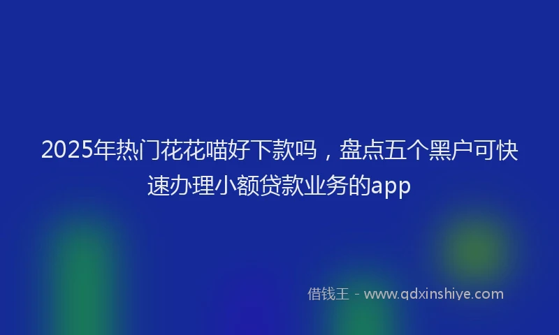 2025年热门花花喵好下款吗，盘点五个黑户可快速办理小额贷款业务的app