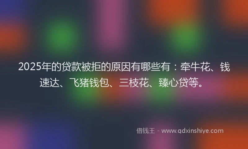 2025年的贷款被拒的原因有哪些有：牵牛花、钱速达、飞猪钱包、三枝花、臻心贷等。