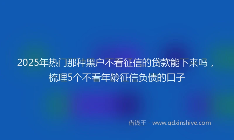 2025年热门那种黑户不看征信的贷款能下来吗,梳理5个不看年龄征信负债的口子