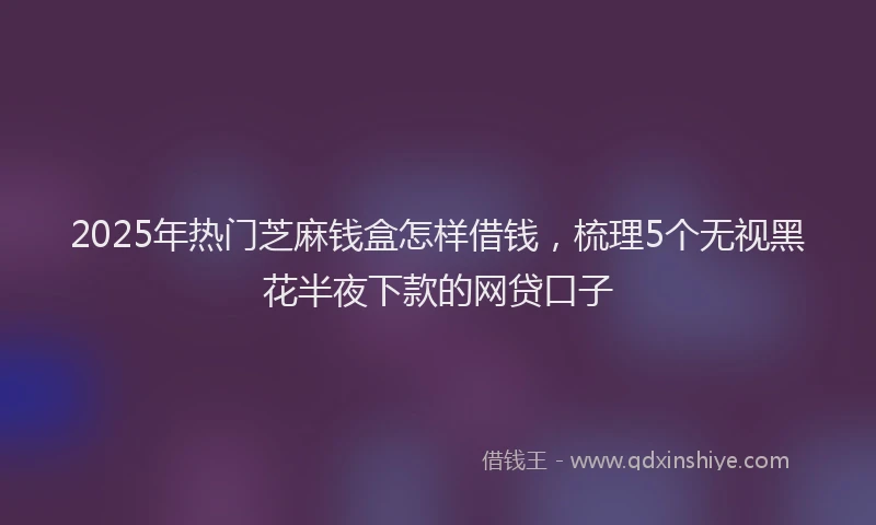 2025年热门芝麻钱盒怎样借钱，梳理5个无视黑花半夜下款的网贷口子