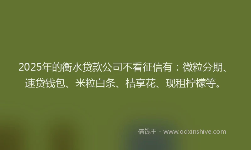 2025年的衡水贷款公司不看征信有：微粒分期、速贷钱包、米粒白条、桔享花、现租柠檬等。