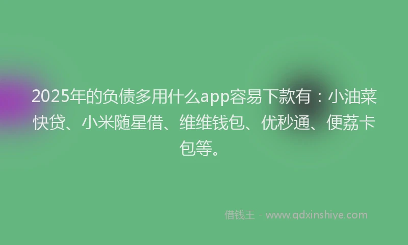 2025年的负债多用什么app容易下款有：小油菜快贷、小米随星借、维维钱包、优秒通、便荔卡包等。