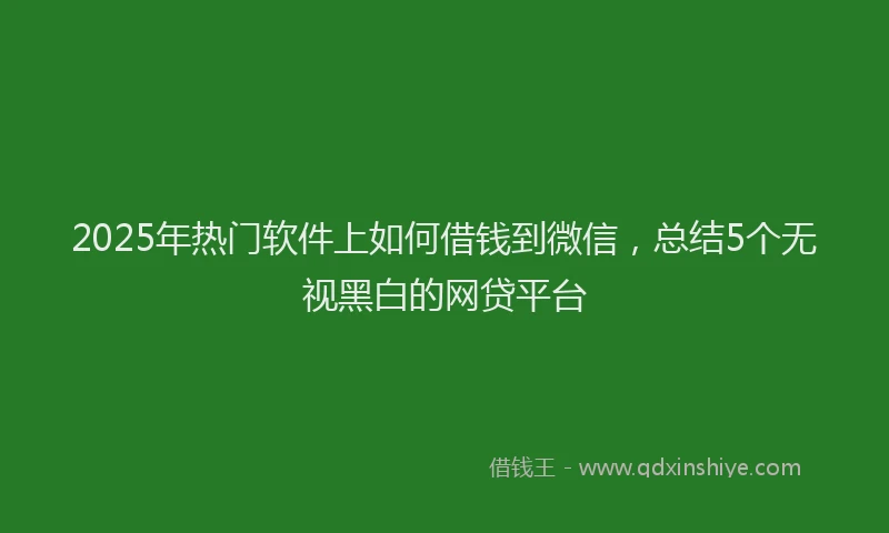 2025年热门软件上如何借钱到微信,总结5个无视黑白的网贷平台