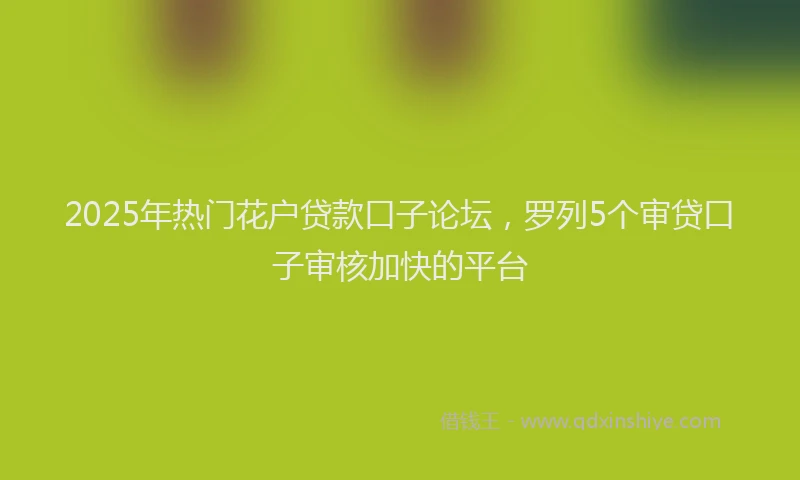 2025年热门花户贷款口子论坛，罗列5个审贷口子审核加快的平台