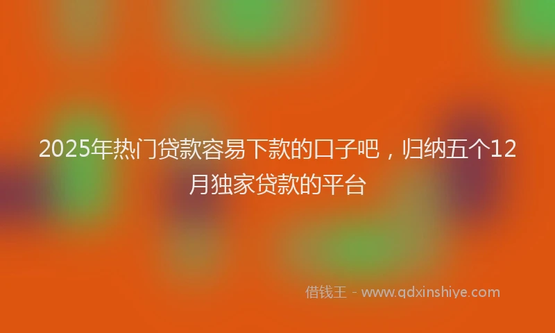 2025年热门贷款容易下款的口子吧,归纳五个12月独家贷款的平台