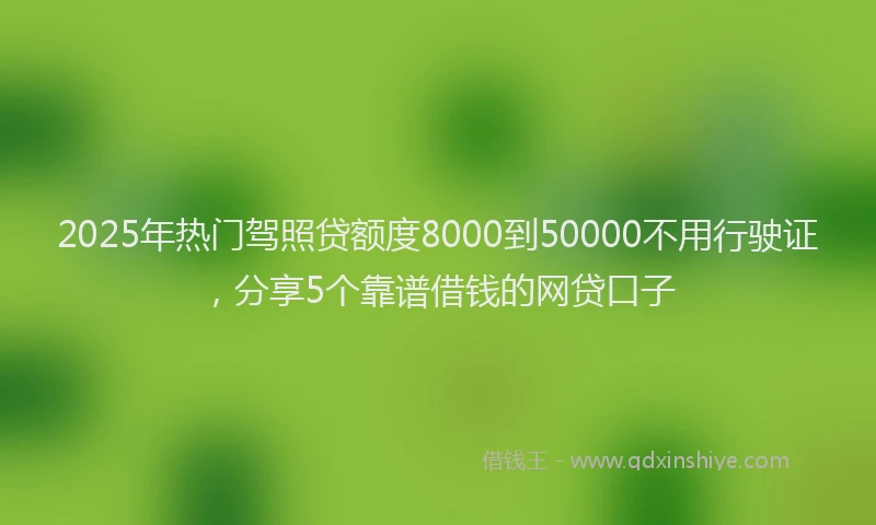 2025年热门驾照贷额度8000到50000不用行驶证，分享5个靠谱借钱的网贷口子