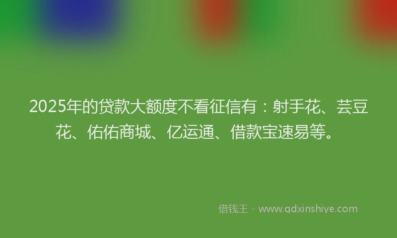 2025年的贷款大额度不看征信有:射手花、芸豆花、佑佑商城、亿运通、借款宝速易等。