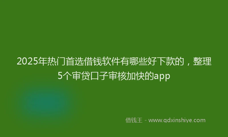 2025年热门首选借钱软件有哪些好下款的，整理5个审贷口子审核加快的app