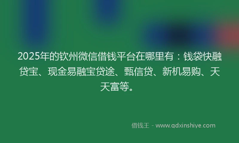 2025年的钦州微信借钱平台在哪里有：钱袋快融贷宝、现金易融宝贷途、甄信贷、新机易购、天天富等。