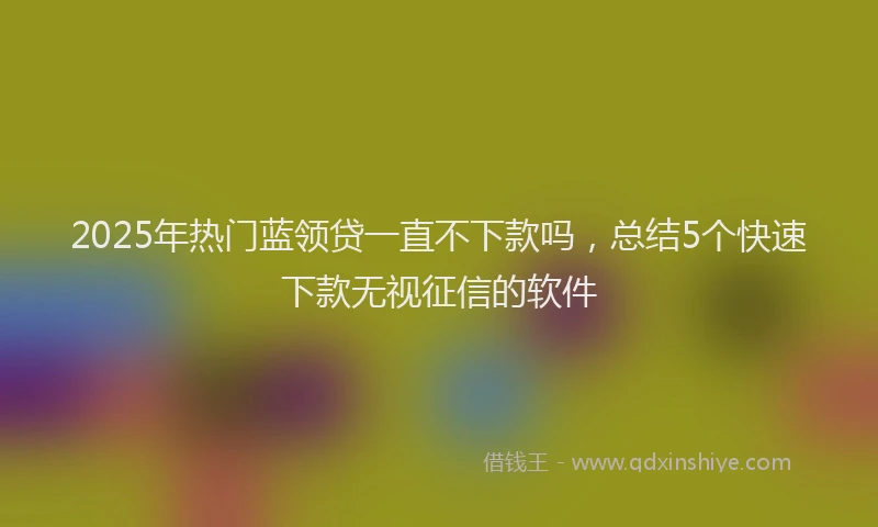 2025年热门蓝领贷一直不下款吗，总结5个快速下款无视征信的软件