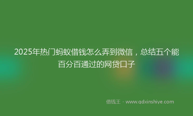 2025年热门蚂蚁借钱怎么弄到微信,总结五个能百分百通过的网贷口子