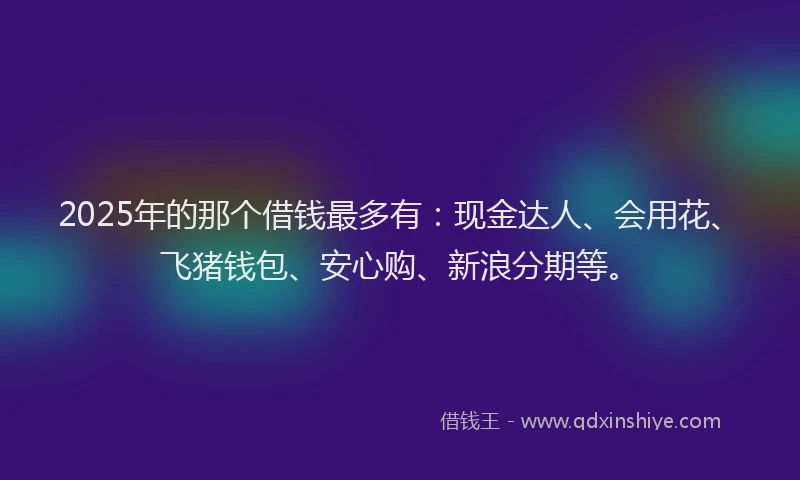 2025年的那个借钱最多有：现金达人、会用花、飞猪钱包、安心购、新浪分期等。
