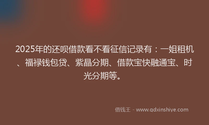 2025年的还呗借款看不看征信记录有：一姐租机、福禄钱包贷、紫晶分期、借款宝快融通宝、时光分期等。
