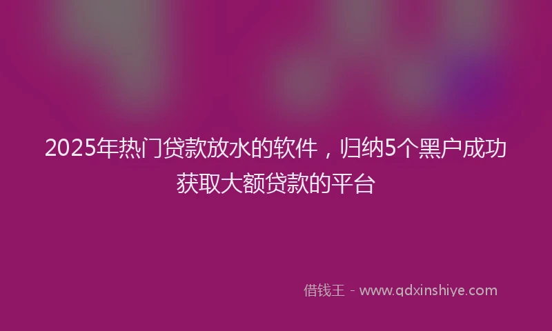 2025年热门贷款放水的软件,归纳5个黑户成功获取大额贷款的平台