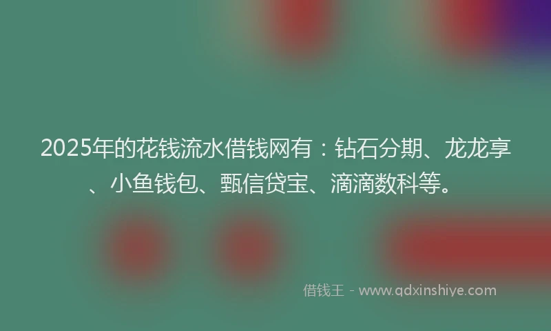 2025年的花钱流水借钱网有：钻石分期、龙龙享、小鱼钱包、甄信贷宝、滴滴数科等。